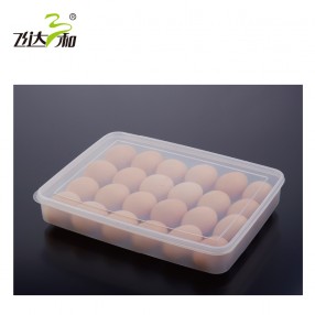 31301 Egg storage box